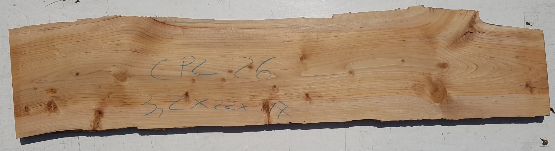 Tavola legno di Cedro del Libano Non Refilato Piallato mm 32 x 220 x 1170