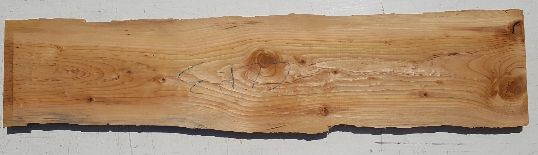 Tavola legno di Cedro del Libano Non Refilato Piallato mm 32 x 210 x 1170
