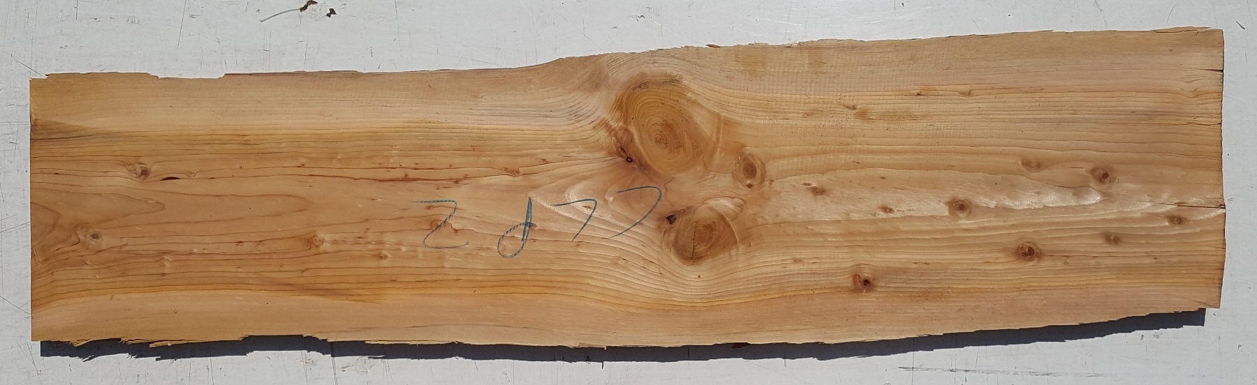 Tavola legno di Cedro del Libano Non Refilato Piallato mm 32 x 250 x 1160