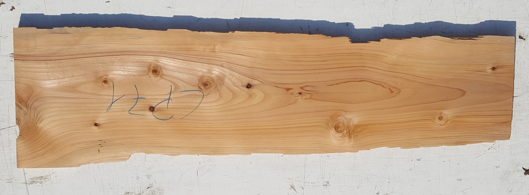 Tavola legno di Cedro del Libano Non Refilato Piallato mm 23 x 220 x 1000