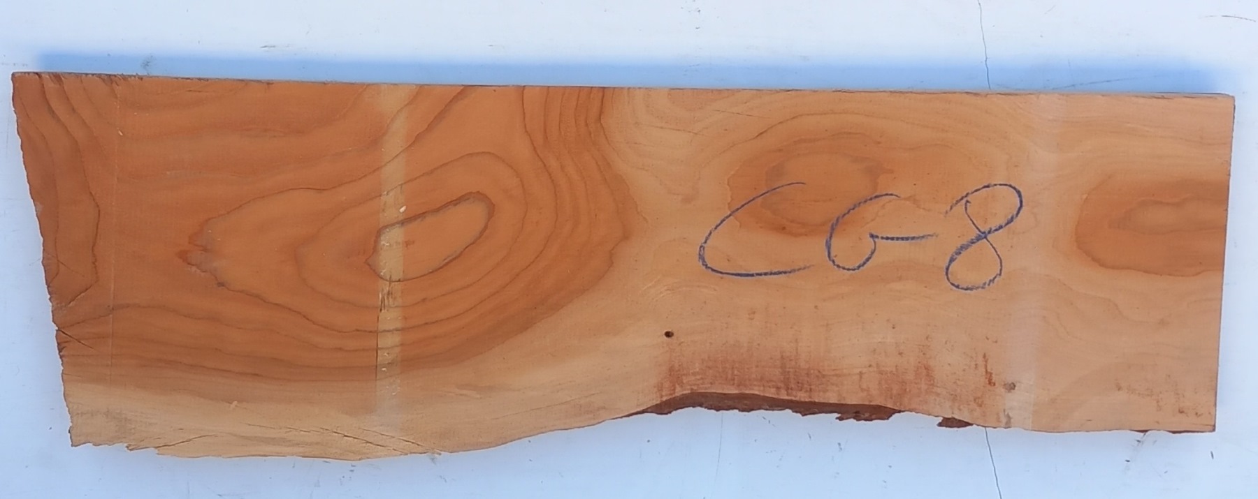 Tavola legno di Acero Pacific Coast Maple Calibrato refilato grezzo mm 24 x  130 x 2440