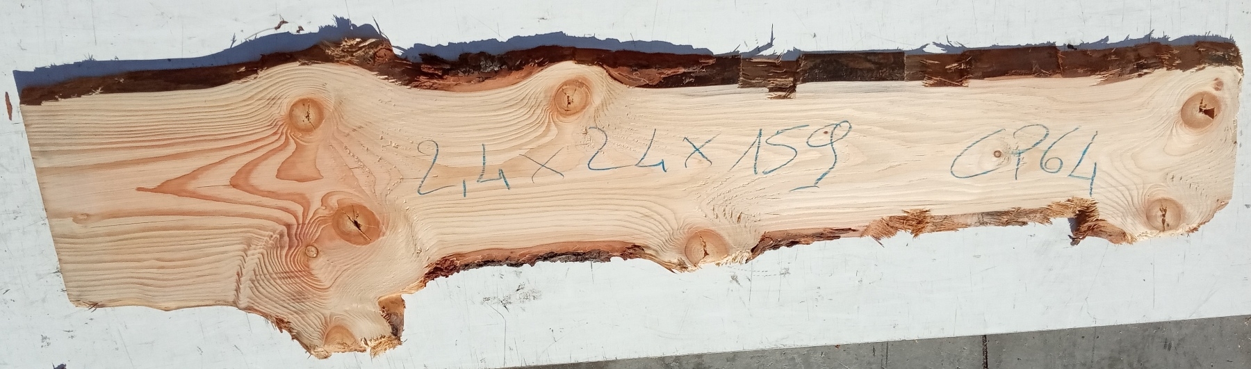 Tavola legno di Cedro del Libano Non Refilato Piallato mm 24 x 240 x 1590