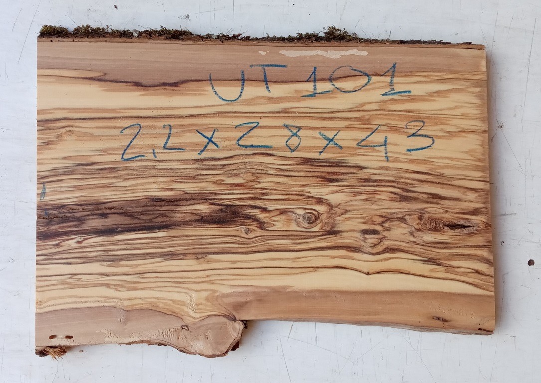 Tavola legno di Ulivo Non Refilato Piallato mm 22 x 280 x 430