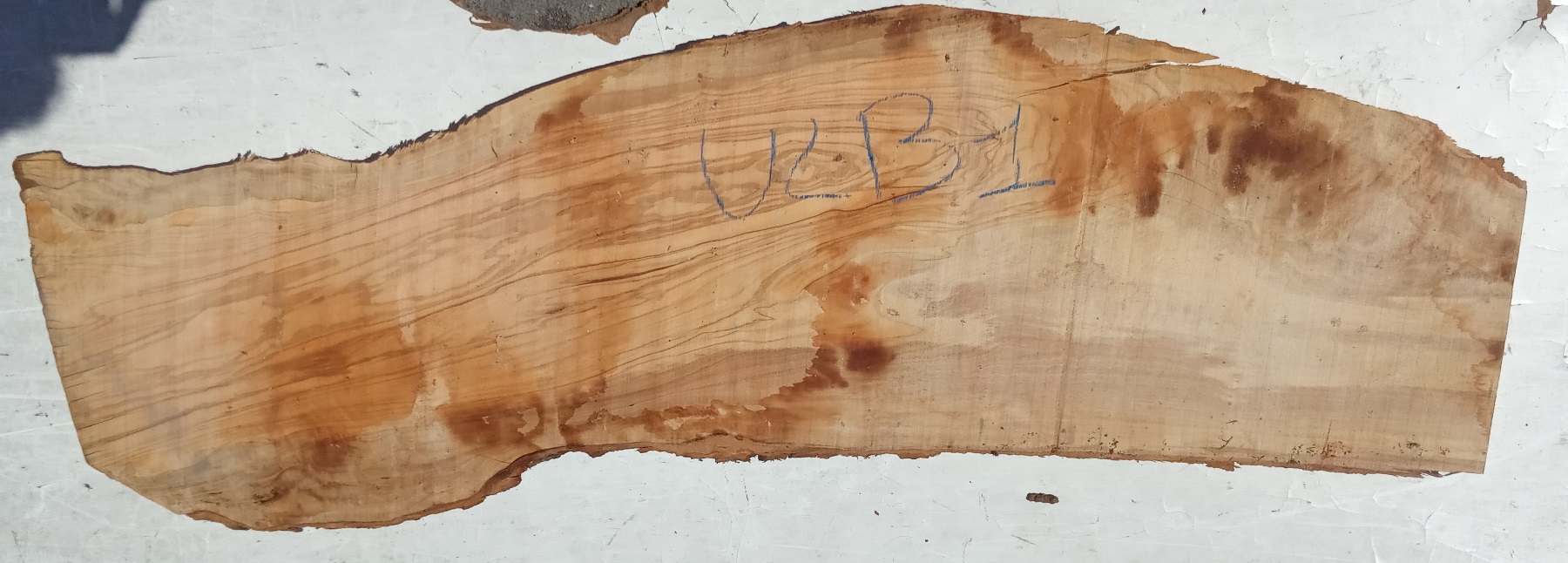 Tavola legno di Ulivo Non Refilato Grezzo mm 35 x 350 x 1220