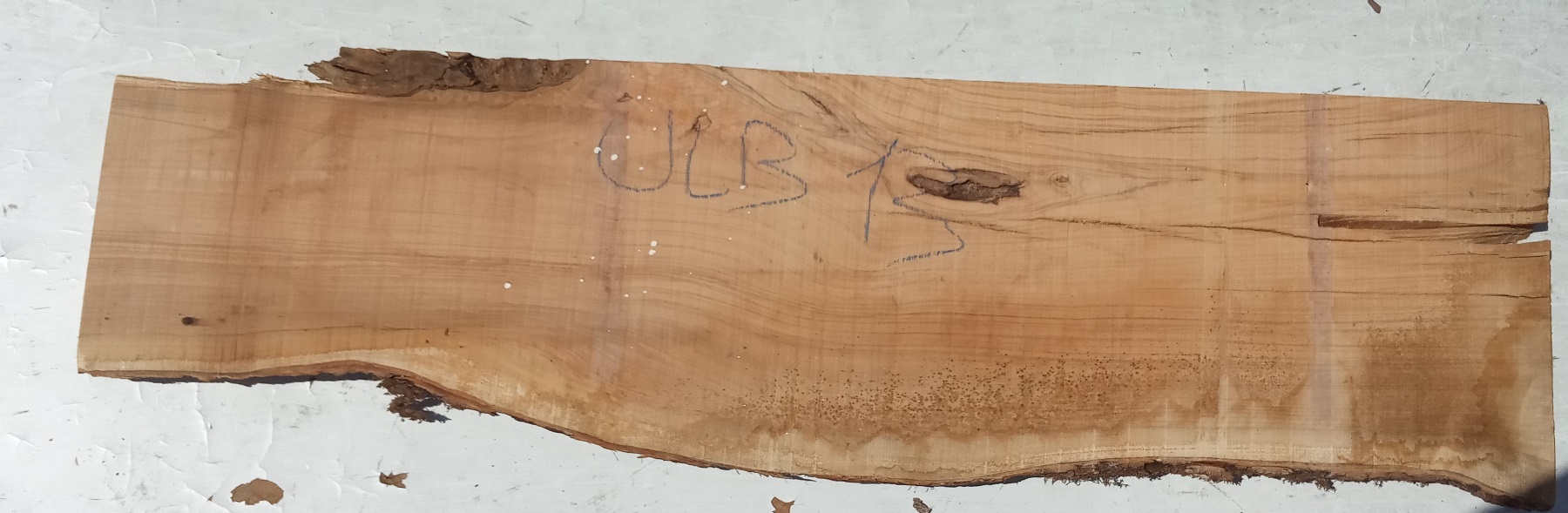 Tavola legno di Ulivo Non Refilato Grezzo mm 35 x 300 x 1130