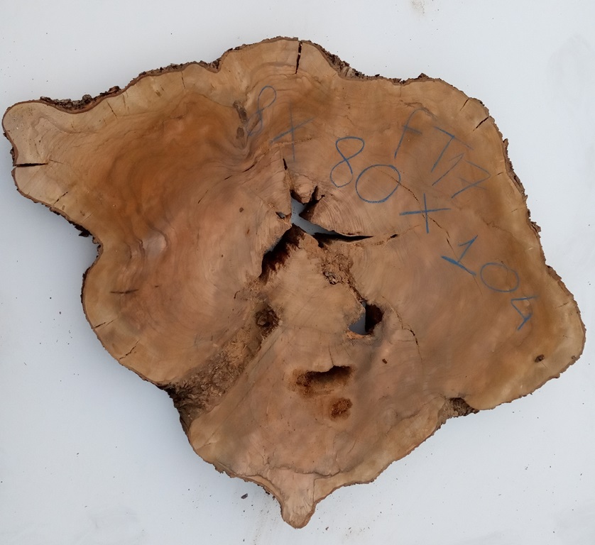 Dischetti di legno diametro 18 x 20 spessore 2 cm con corteccia 1 pezzo  tronco base disco