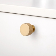 Emuca Lotto di 10 pomoli per mobili Argos, diametro 30mm, Alluminio, Oro