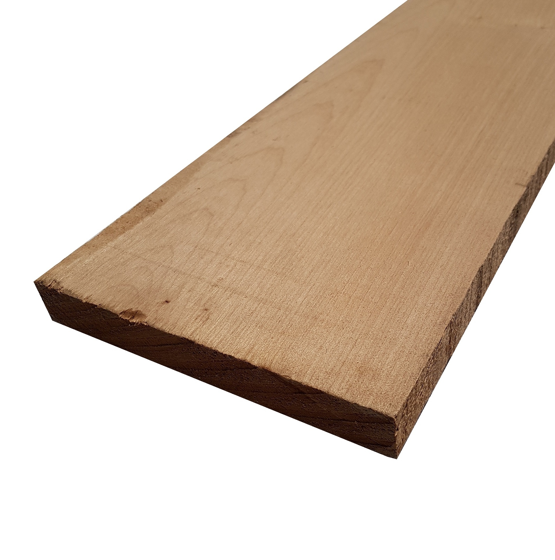 Tavola legno di Acero Pacific Coast Maple Calibrato refilato grezzo mm 24 x 100 x 2440