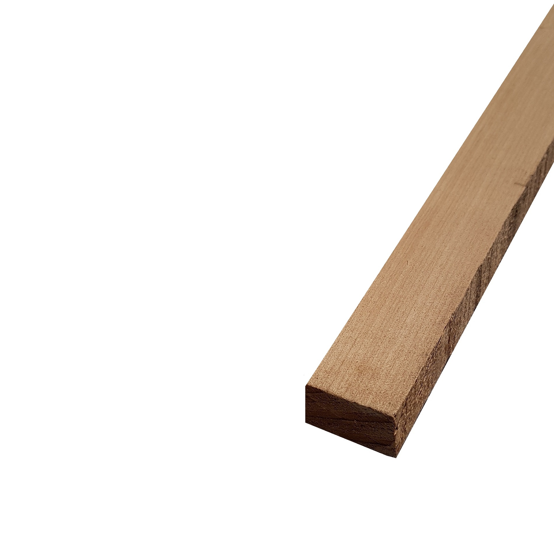 Listello legno di Acero Pacific Coast Maple Calibrato grezzo mm 24 x Varie Misure x 1200