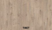 Campione-Tibet