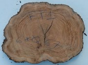 fetta-di-tronco-in-legno-di-ulivo-bricolegnostore-ft14