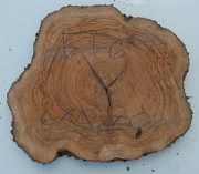 fetta-di-tronco-in-legno-di-ulivo-bricolegnostore-ft6