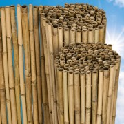 Arella in canne di Bamboo di diametro 18-24 mm