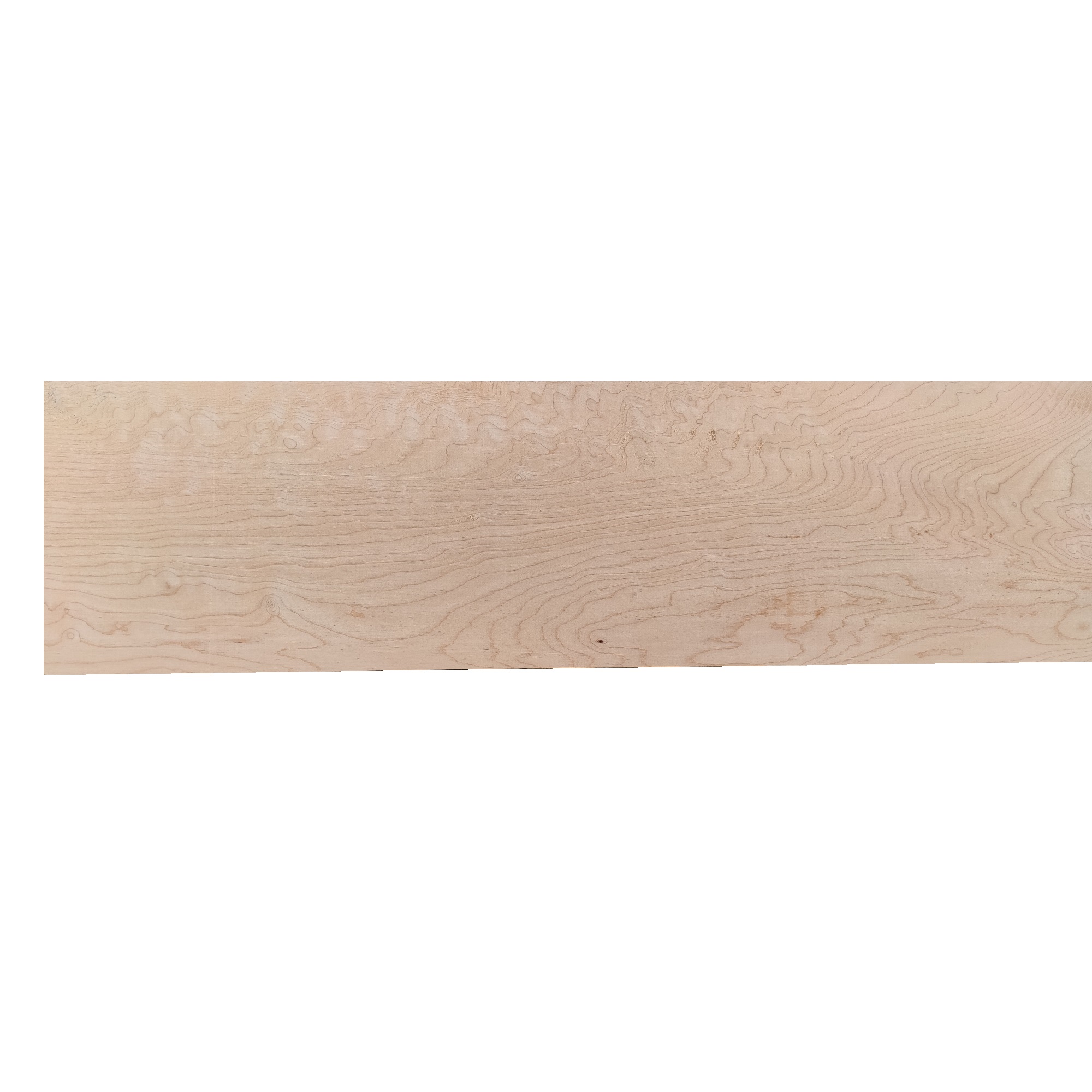 Tavola legno di Acero Pacific Coast Maple Calibrato refilato grezzo mm 24 x  130 x 2440