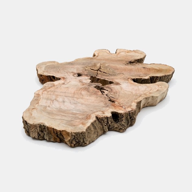 Fette di Tronco in legno grezzo