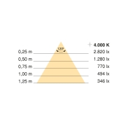 Emuca Kit striscia LED Neonlynx H 12x5 per cucina, Lunghezza 5.000mm, Luce Bianco naturale 4.000K, Sensore switch di pro