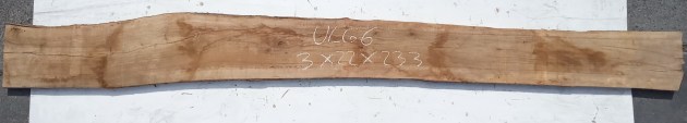 IMG_20260423_140234