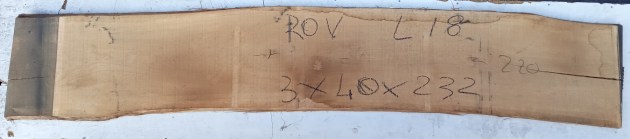 IMG_20260806_070405