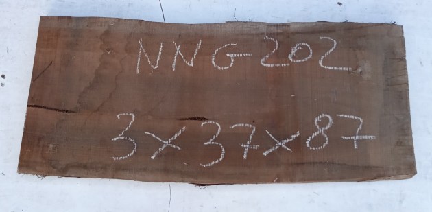 Tavola in legno di Noce Nazionale grezzo non refilato