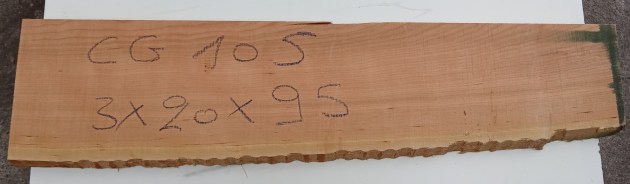 IMG_20260924_103736
