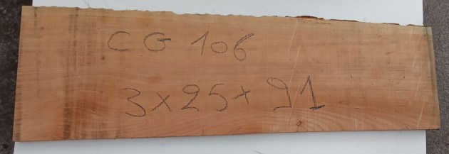 IMG_20260924_103756