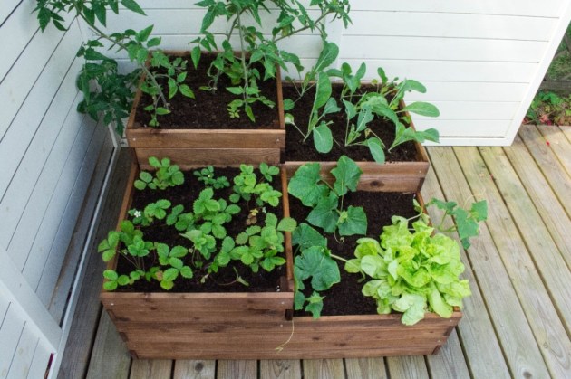 Orto four - Orto - Losa Esterni da vivere