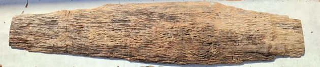 tronco-in-legno-di-iroko-grezzo-brico-legno-store-2