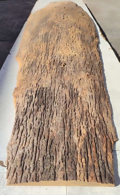 tronco-in-legno-di-iroko-grezzo-brico-legno-store-4